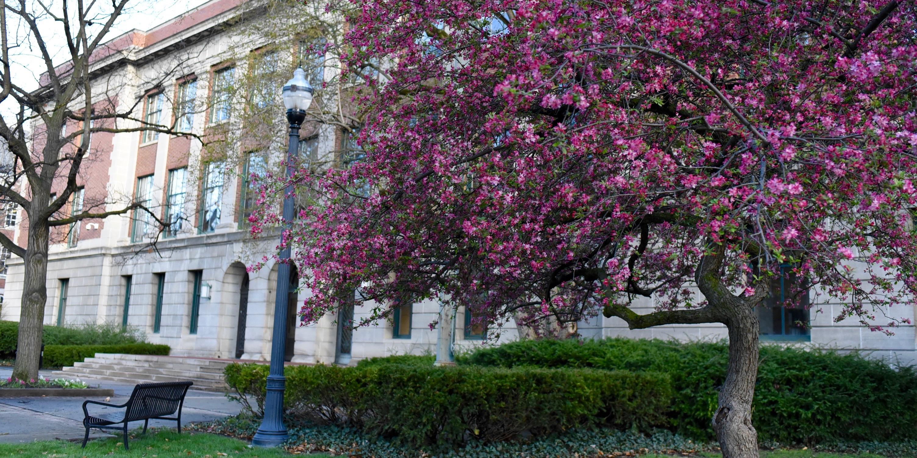 exterior of Bricker Hall